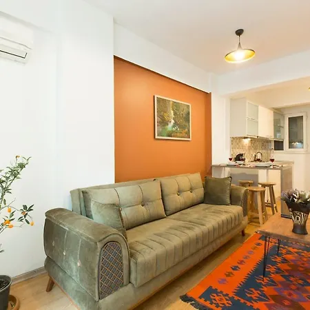 Daire Classical Modern In Taksım&istiklal İstanbul